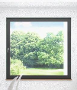 Test – Copy